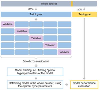 Developing and testing a prediction model for periodontal disease using machine learning and big electronic dental record data